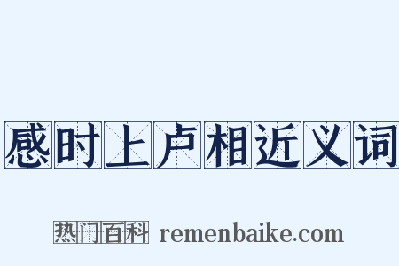 感时上卢相近义词是什么意思的图片